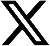 X Icon